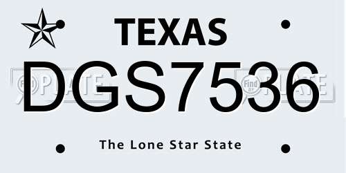 DGS7536 Texas License Plate