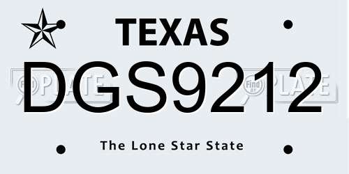 DGS9212 Texas License Plate