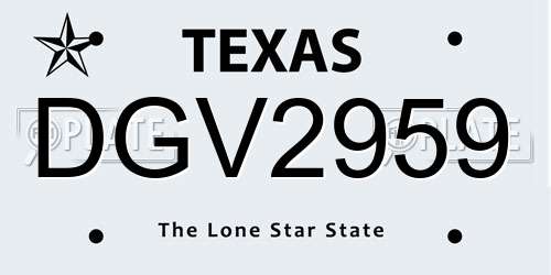 DGV2959 Texas License Plate