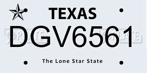 DGV6561 Texas License Plate
