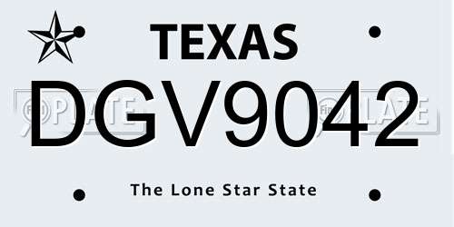 DGV9042 Texas License Plate