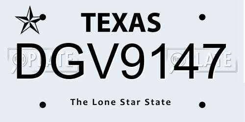 DGV9147 Texas License Plate