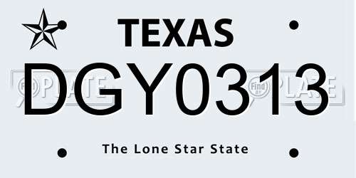 DGY0313 Texas License Plate