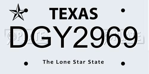 DGY2969 Texas License Plate