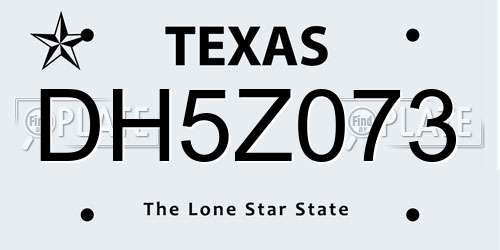 DH5Z073 Texas License Plate
