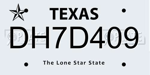 DH7D409 Texas License Plate