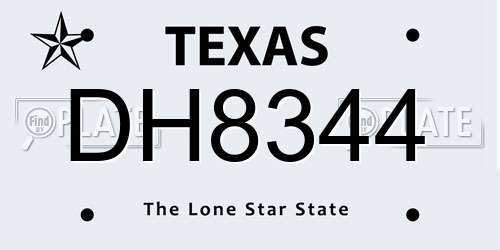DH8344 Texas License Plate