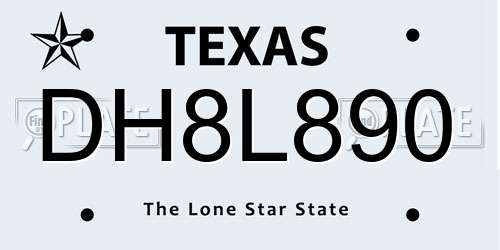 DH8L890 Texas License Plate