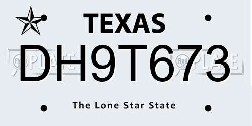 DH9T673 Texas License Plate