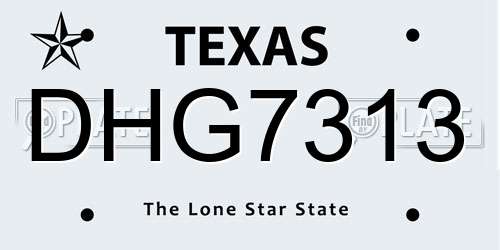 DHG7313 Texas License Plate
