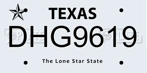 DHG9619 Texas License Plate