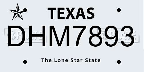 DHM7893 Texas License Plate