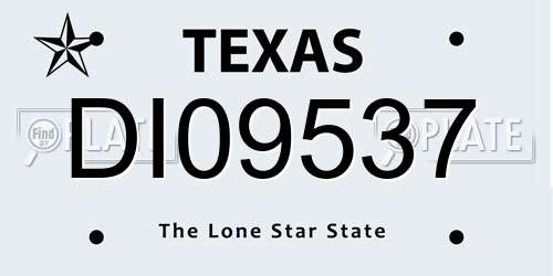 DI09537 Texas License Plate