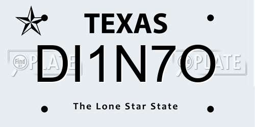 DI1N7O Texas License Plate