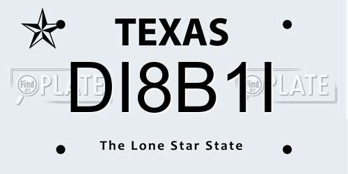 DI8B1I Texas License Plate