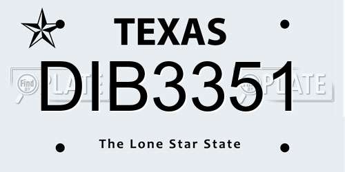DIB3351 Texas License Plate
