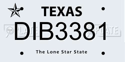 DIB3381 Texas License Plate