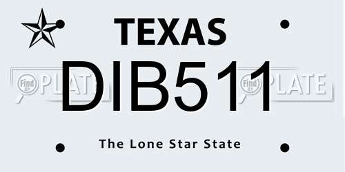 DIB511 Texas License Plate