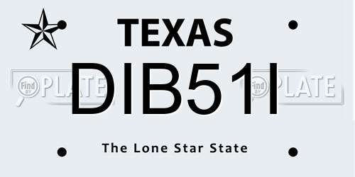 DIB51I Texas License Plate