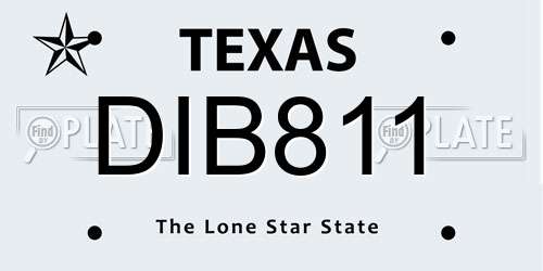 DIB811 Texas License Plate