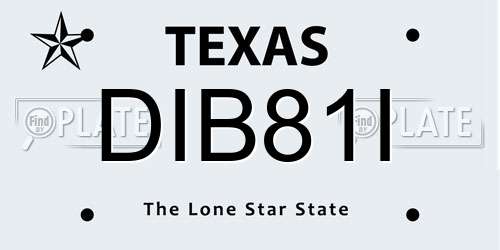 DIB81I Texas License Plate