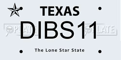 DIBS11 Texas License Plate