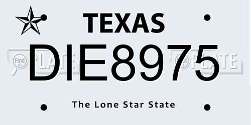 DIE8975 Texas License Plate