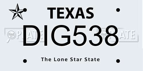 DIG538 Texas License Plate