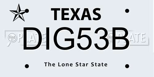 DIG53B Texas License Plate