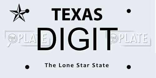 DIGIT Texas License Plate