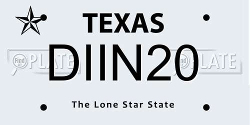 DIIN20 Texas License Plate
