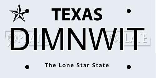 DIMNWIT Texas License Plate