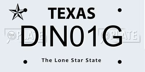 DIN01G Texas License Plate
