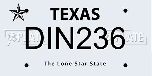 DIN236 Texas License Plate