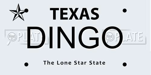 DINGO Texas License Plate