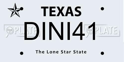 DINI41 Texas License Plate