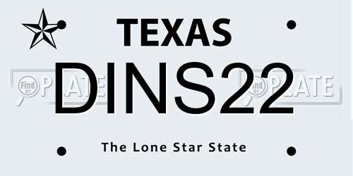 DINS22 Texas License Plate