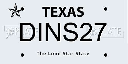 DINS27 Texas License Plate