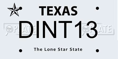 DINT13 Texas License Plate