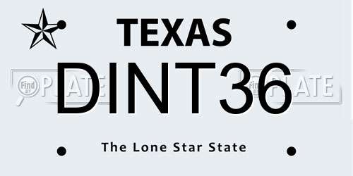 DINT36 Texas License Plate