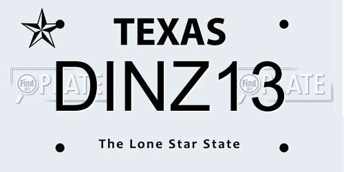 DINZ13 Texas License Plate