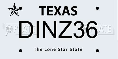 DINZ36 Texas License Plate