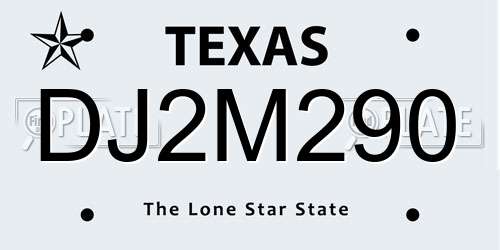 DJ2M290 Texas License Plate