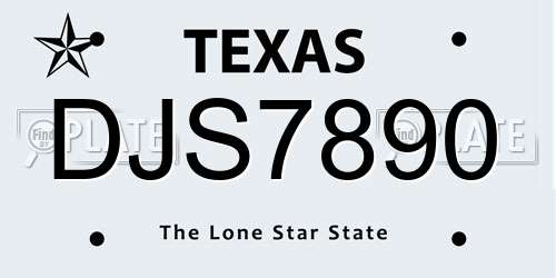 DJS7890 Texas License Plate