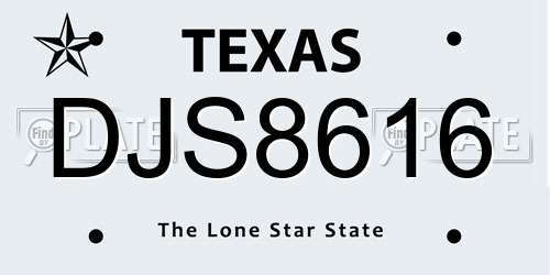 DJS8616 Texas License Plate