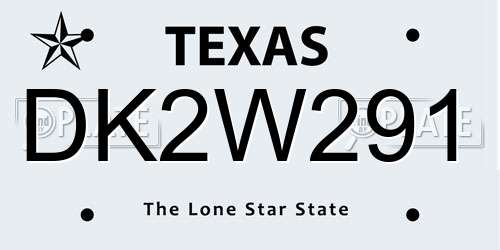 DK2W291 Texas License Plate