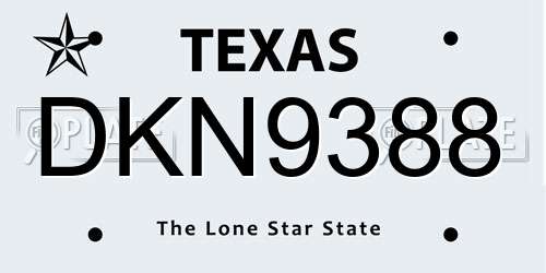 DKN9388 Texas License Plate