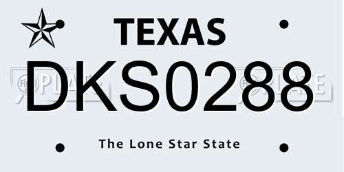 DKS0288 Texas License Plate