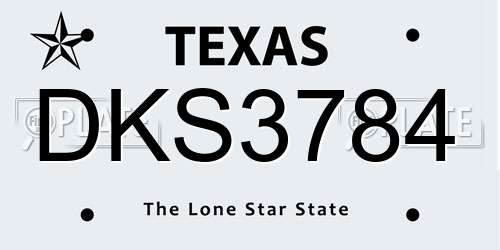 DKS3784 Texas License Plate