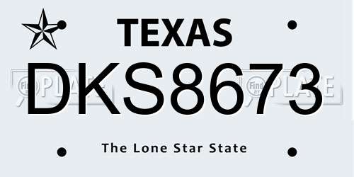 DKS8673 Texas License Plate